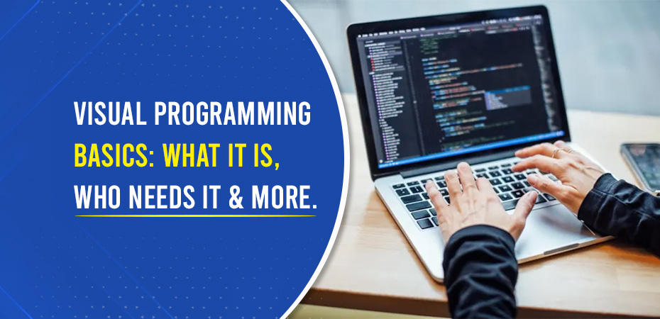 Visual Programming Basics: What It Is, Who Needs It & More